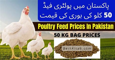 poultry feed price 50kg|Chicken Feeds Price List in Nigeria (June 2024).